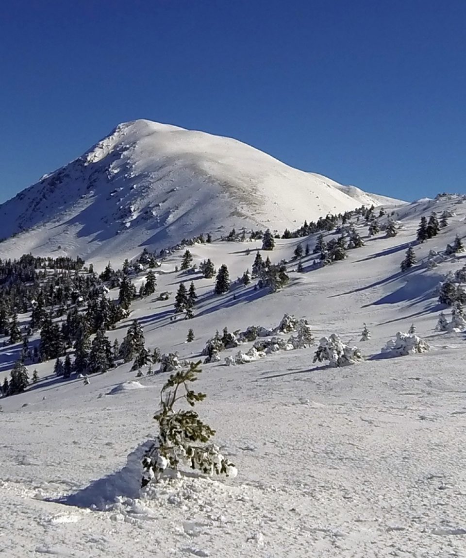 Ilgaz Dağı -Küçük Hacet Tepe (2587 m) Kış Tırmanışı