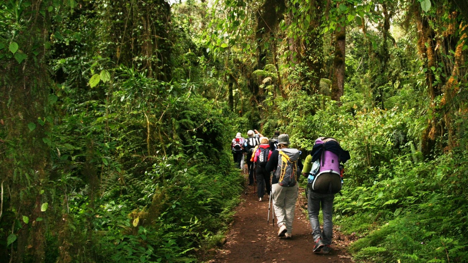 Kilimanjaro Dağı (5895m.) Tırmanış Turu (Yaz Dönemi)