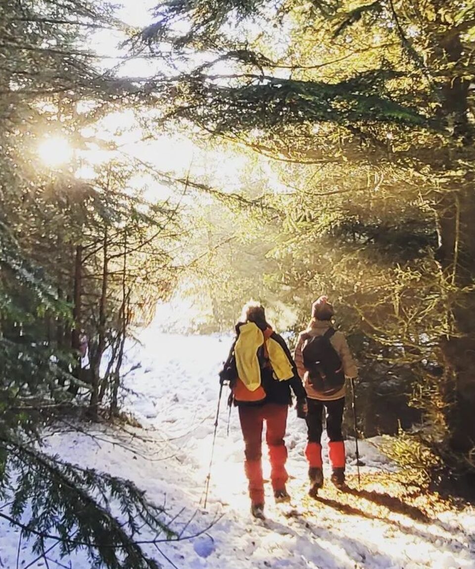 Günübirlik Hediklerle Işık Dağı Yürüyüşü